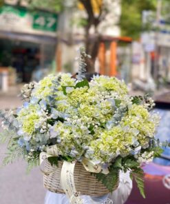 Giỏ Hoa Hoa Cẩm Tú Cầu - GH048