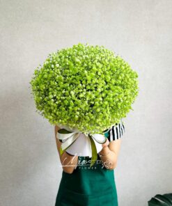 Giỏ Hoa Mầm Xanh - GH071