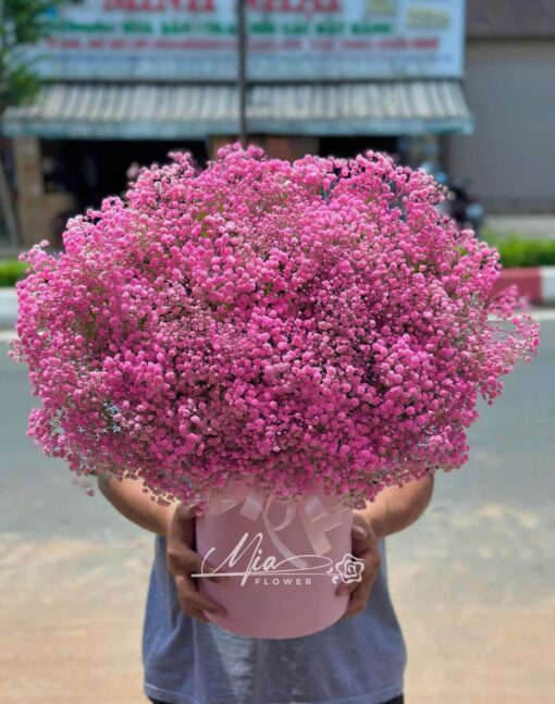 Shop Hoa Tươi Mia Flower - Hoa Tươi Sài Gòn