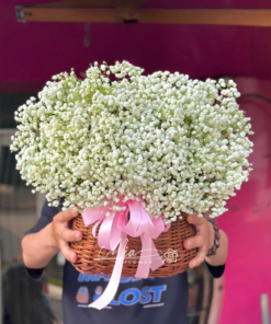 Giỏ Hoa Babi Tinh Khôi - GH082